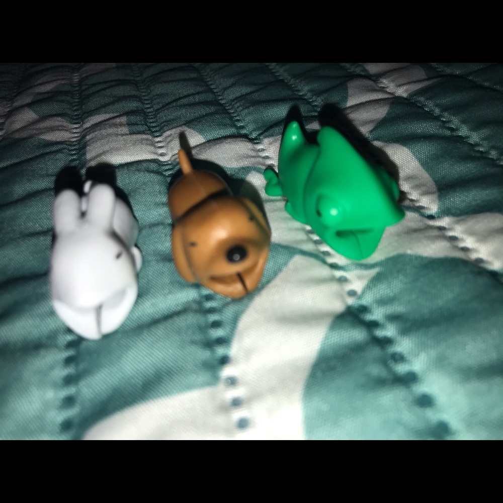 Charger animals